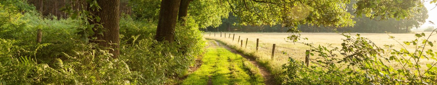 Natuur, fietsarrangement, wandelarrangement